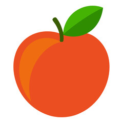 vector illustration of an Nectarine