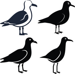 High-Quality Seagull Bird Silhouette Vector Perfect for Logos.