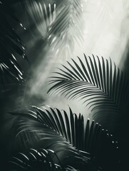 Obraz premium Palm leaf shadows create a striking backdrop with intricate patterns and textures in soft light