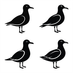 High-Quality Seagull Bird Silhouette Vector Perfect for Logos.
