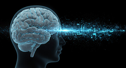 Obraz premium A futuristic scene of a human brain with the internet connected to it.