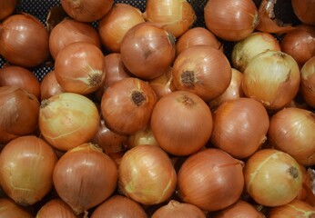 piles of fresh onions which are often used as a cooking spice