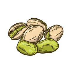 Image of pistachios in engraving style