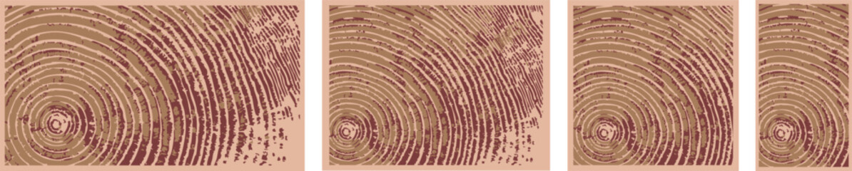 Decorative Wood Cross-Section Vector Textures – Nature-Inspired Backgrounds
