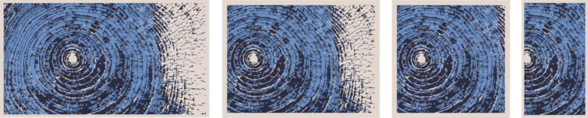 Fototapeta premium Tree Rings Vector Set – Wood Slice Print Textures for Posters, Invitations, and Design 