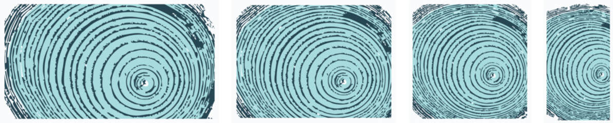 Decorative Wood Cross-Section Vector Textures – Nature-Inspired Backgrounds
