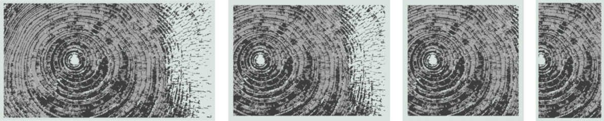 Decorative Wood Cross-Section Vector Textures – Nature-Inspired Backgrounds
