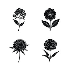 Set of flower vector illustration