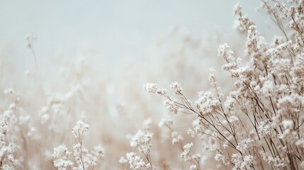 Naklejka premium Tranquil Snowy Landscape with Soft Winter Atmosphere and Empty Space