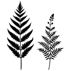 floral-mandala-style-divider