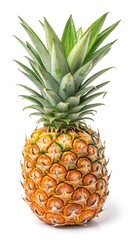 Fototapeta premium A single pineapple isolated