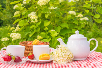 Summer breakfast or tea time in the summer garden.