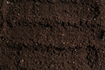 Texture of fresh soil as background, closeup