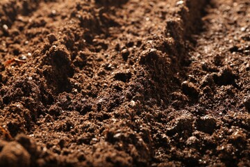 Texture of fresh soil as background, closeup