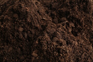 Texture of fresh soil as background, closeup