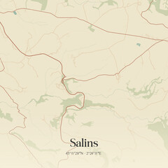 Obraz premium Vintage map of Salins, France.