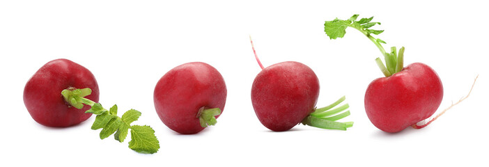 Many fresh radishes isolated on white, set