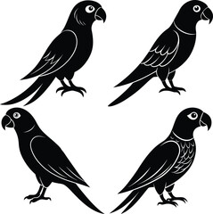 Stylized Parrot Bird Vector Icon Set for Digital & Print Projects