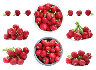 Many fresh radishes isolated on white, set