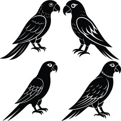 Stylized Parrot Bird Vector Icon Set for Digital & Print Projects