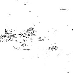 Buildings map of Aberystwyth Great Britain