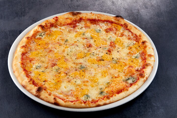 fresh pizza on the white plate