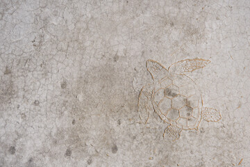 Cracked concrete wall covered with gray cement surface and seal with turtle design. Grey old wall with shabby damaged plaster or cement of vintage dirty exfoliating plaster. Mock up.