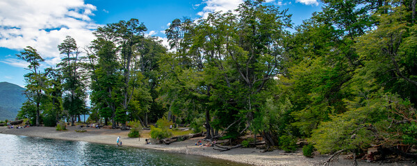 Beach at los alerces national park, chubut province, argentina,
