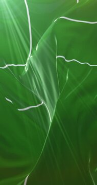 Flag of Ladonia. 4K Vertical. Loop