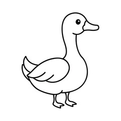 Obraz premium duck isolated on white