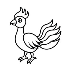 rooster isolated on white background