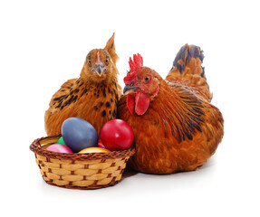 Two brown chickens with eggs in a basket..