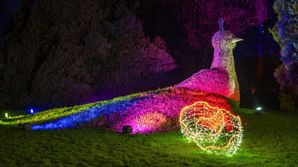 Christmas Garden - light creations at the Island of Mainau, lake Constance