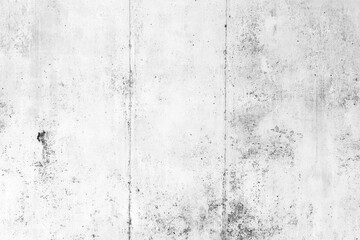 Obraz premium Minimalist Light Gray Concrete Texture with Smooth Matte Finish