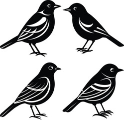 Stylized Warbler Bird Vector Icon Set for Digital & Print Projects.