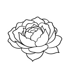 This captures the essence of the flowers in line art and black-and-white style