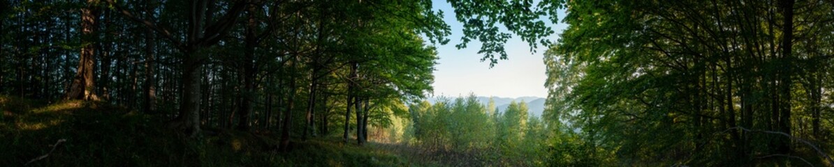 Panoramic nature landscape, soft pastel colors, dream nature, sunset autumn background, peaceful amazing nature panorama