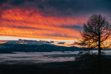 The Last Embers of Daylight Glow Over the Frozen World as Evening Mist Creeps from the Shadows