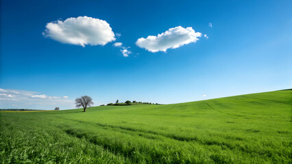 Obraz premium Peaceful Countryside Landscape with Rolling Green Hills and Clouds