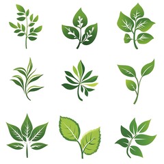 Minimalistic tree design showcasing roots and graceful branches design