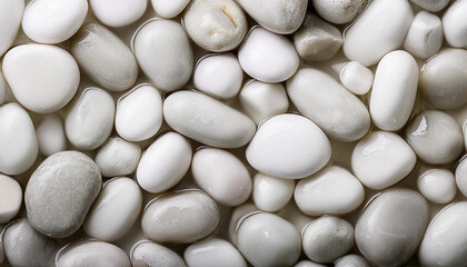 Fototapeta premium Wet pebbles in shades of white, forming seamless glossy surface. Top view.