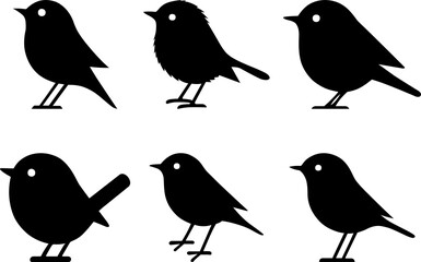 little bird	
