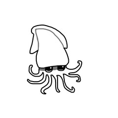 normal variant squid