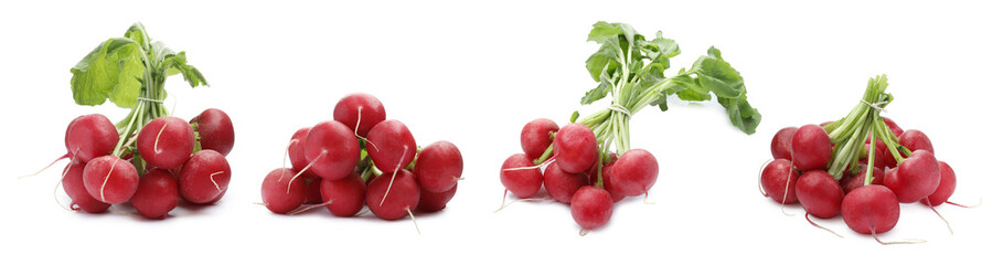 Many fresh radishes isolated on white, set