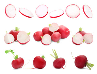 Whole and sliced fresh radishes isolated on white, set