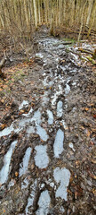 A muddy frozen hiking trail leading into the forest. Light sleet snow covers the path, grass, fallen leaves, and trees.