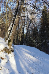 The last days of winter