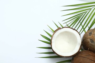 Coconut on white background, top view