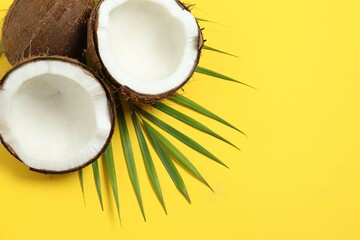 Coconut on color background, top view