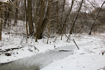 Landscape of dense winter snowy forest with view of frozen stream on frosty cloudy day